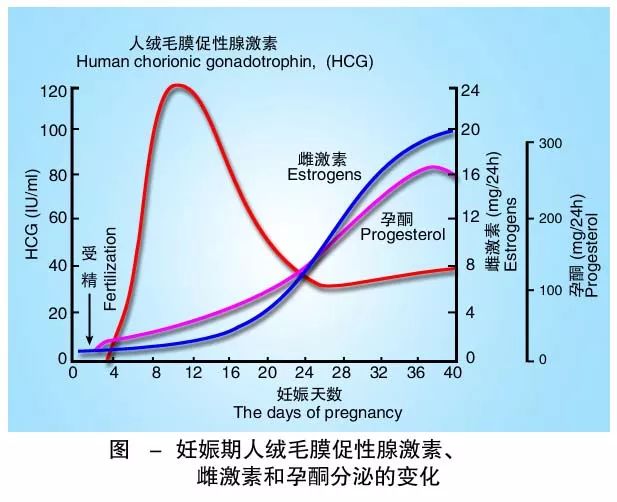 懷孕期間HCG低怎么辦？